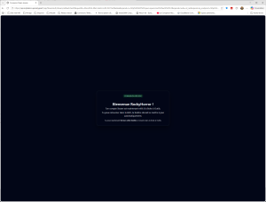 BAO Windows - Connexion Steam reussie.png